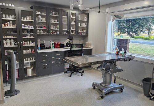 pharmacy